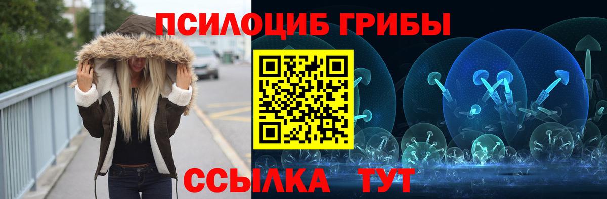 Галлюциногенные грибы Cubensis  Вход с VPN  Кемерово 